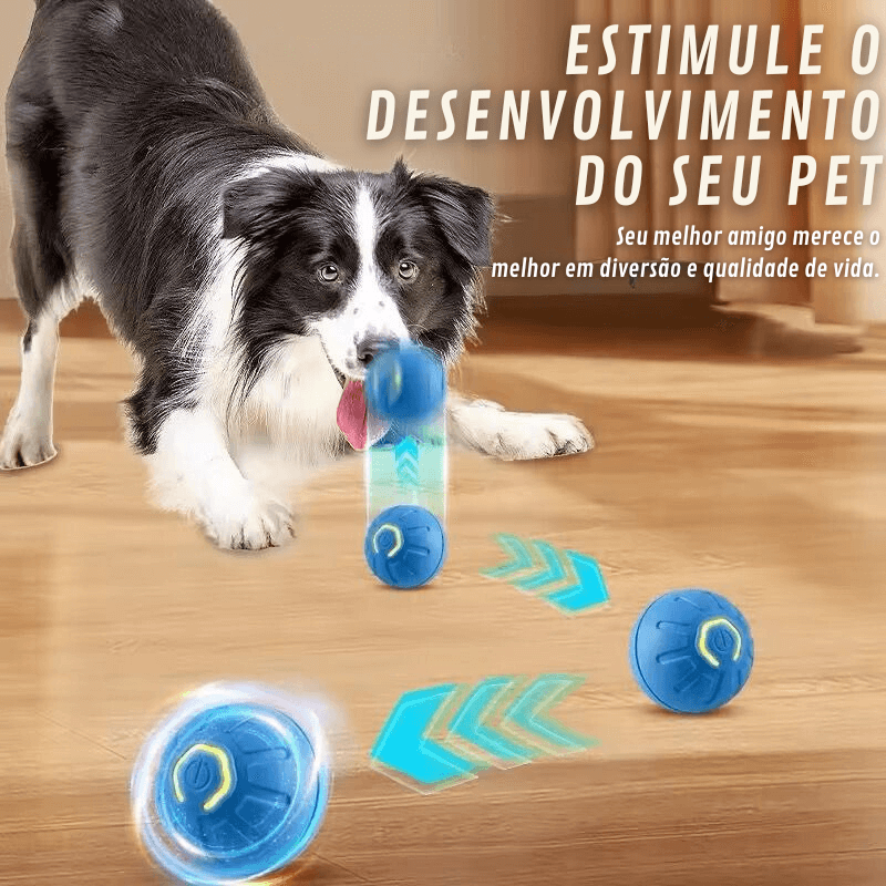 Bola Interativa- Pet