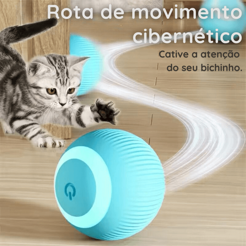 Bola Interativa- Pet