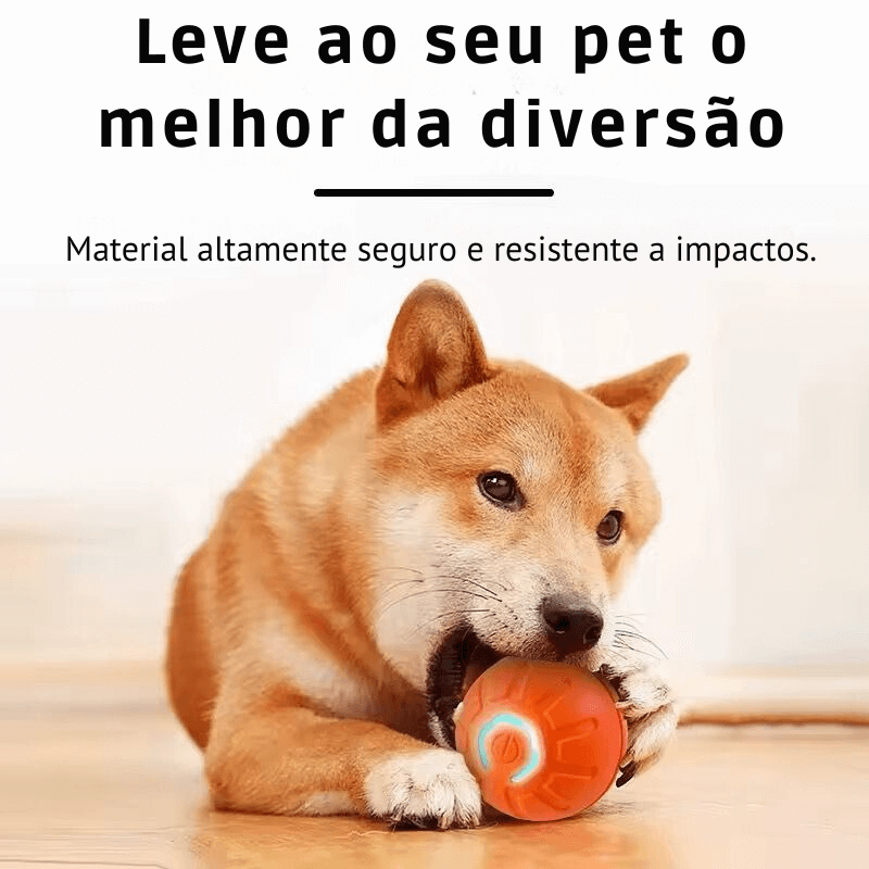 Bola Interativa- Pet