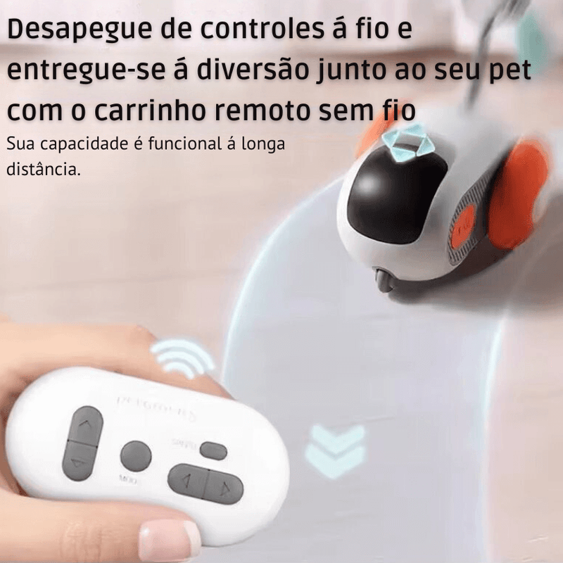 Carinho Remoto - pet